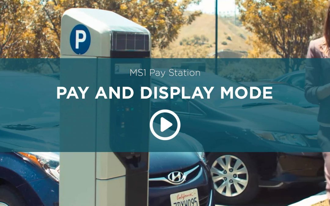 MS1 Pay-And-Display
