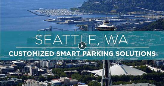 IPS-Customized Smart Parking Solutions