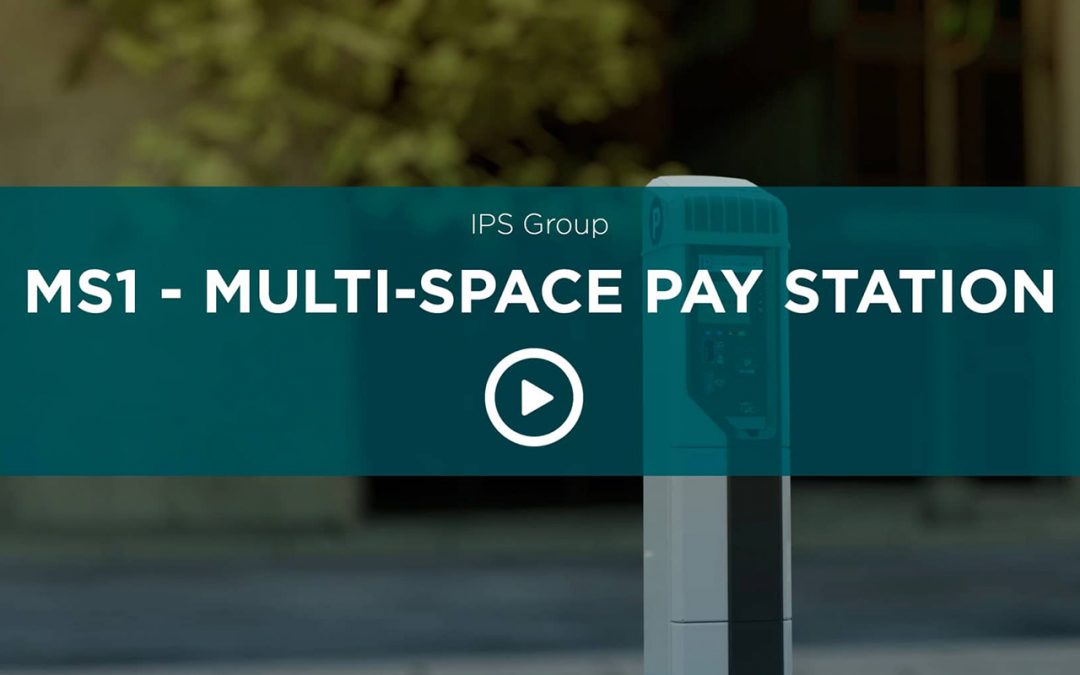 MS1 Multi-Space Pay Station
