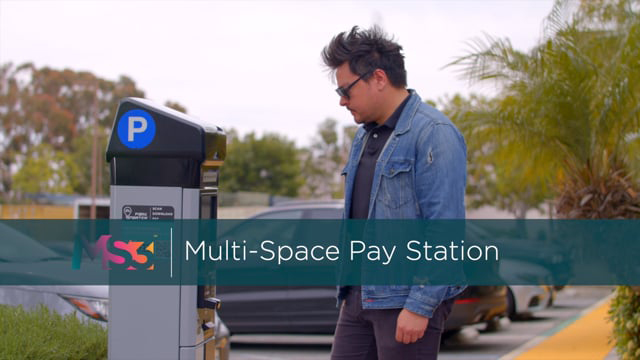 MS3 Multi-Space Pay Station